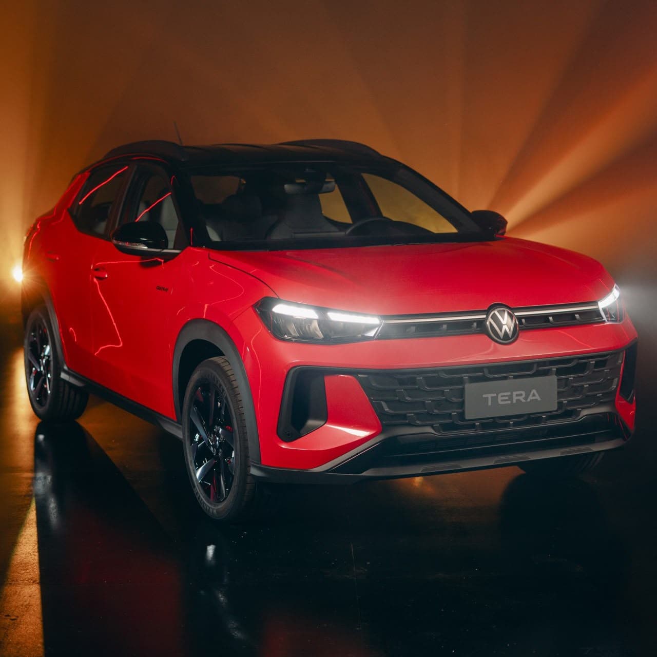 Volkswagen Tera