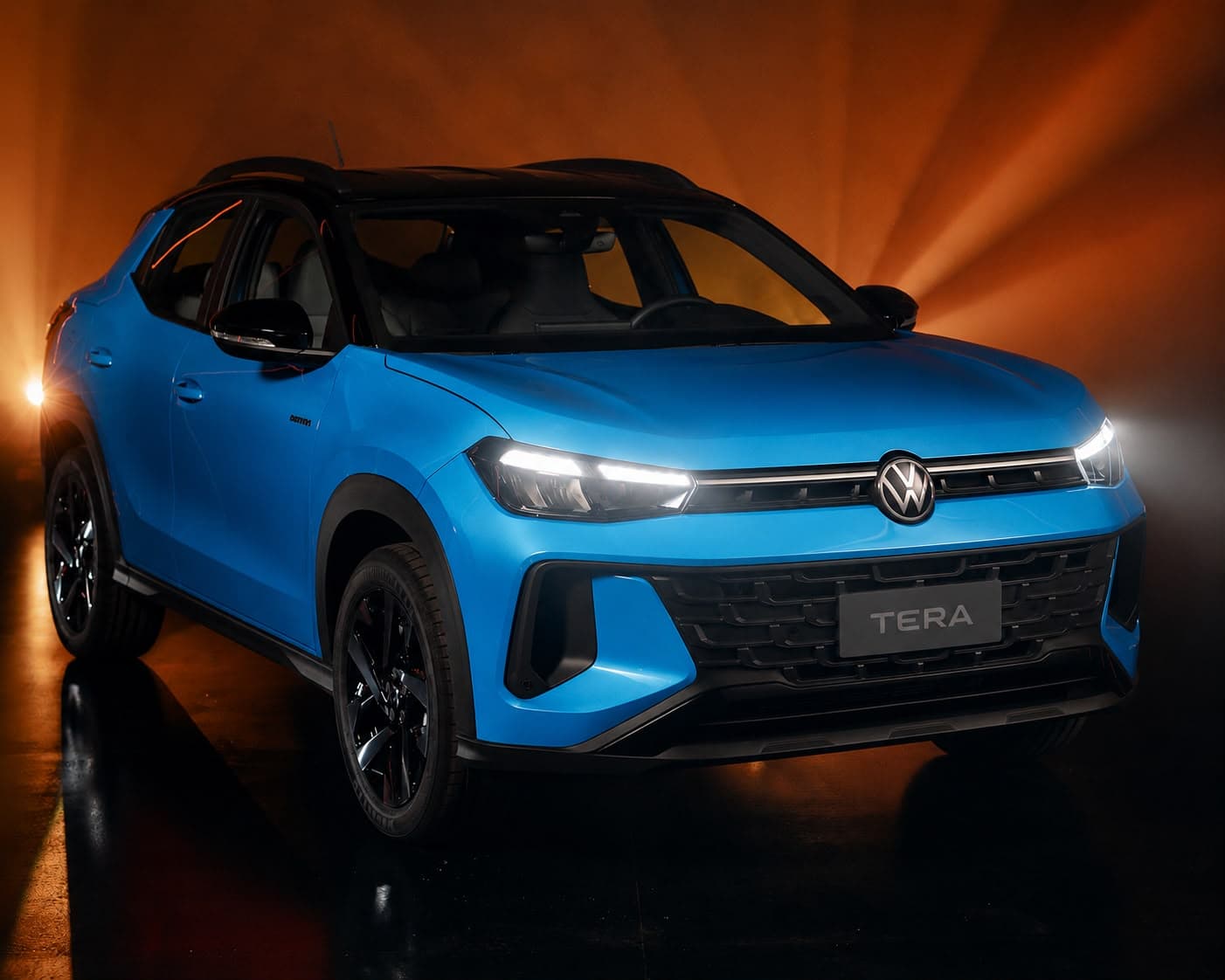 Volkswagen Tera