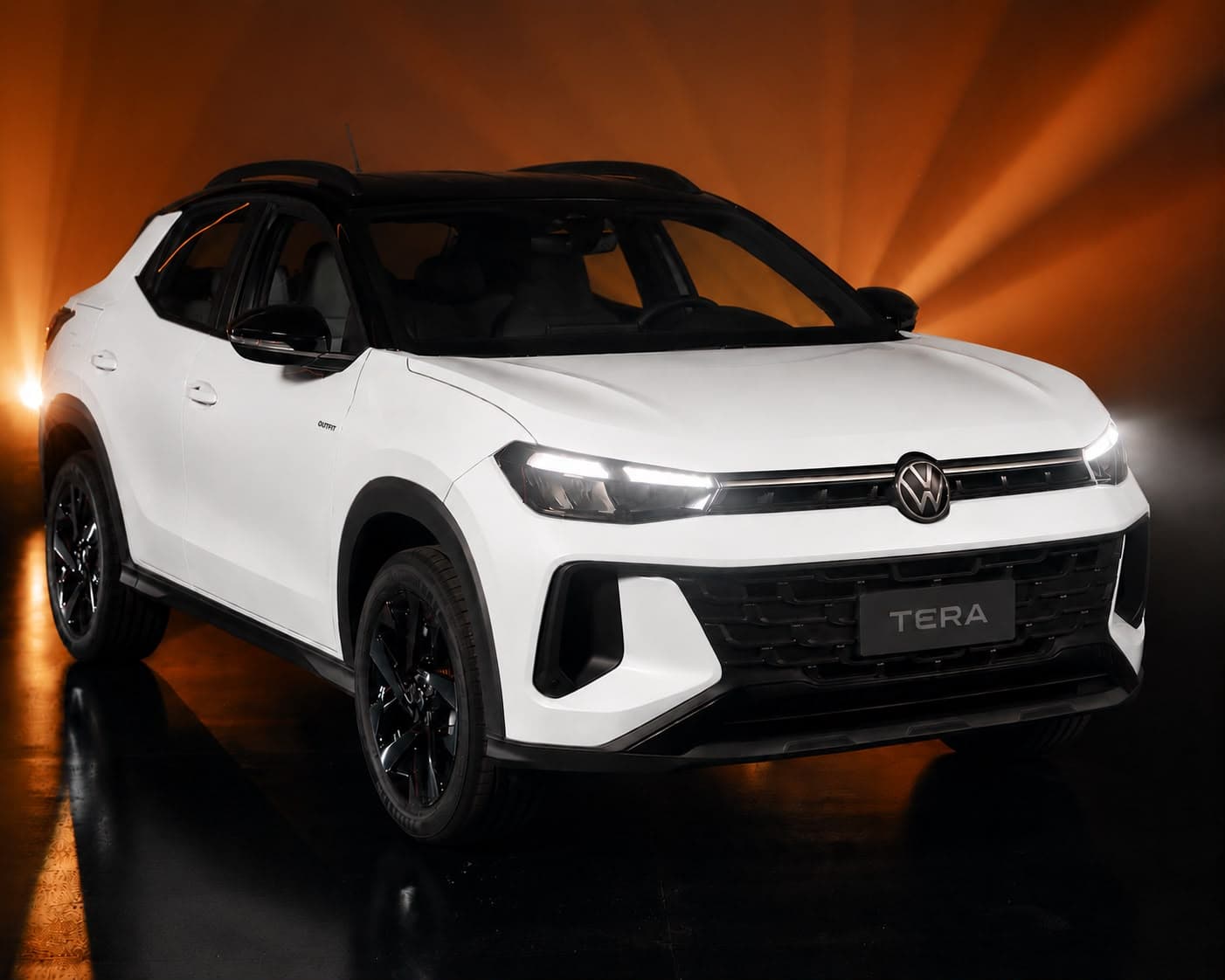 Volkswagen Tera